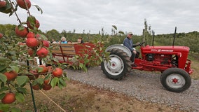 25 apple orchards in Minnesota to visit this fall
