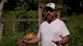 Inver Grove Heights man grows 775 pound giant pumpkin
