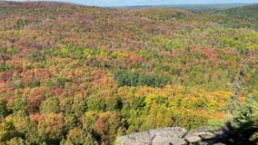 Fall colors in Minnesota: Where to see the best fall foliage