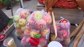 LuceLine Orchard offers pick-your-own apples, free activities for children