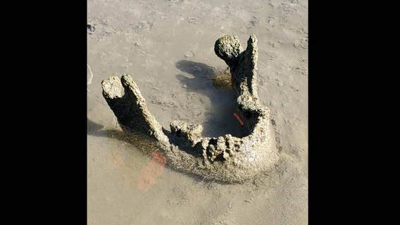 ‘Prehistoric remains’ of man found in Iowa River, Marshall Co. Sheriff’s Office confirms