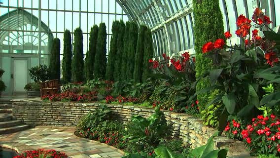 Como Conservatory: What goes into a world-class flower show?