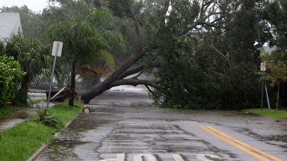 Hurricane Ian: Xcel Energy, Red Cross sending people from Minnesota to Florida