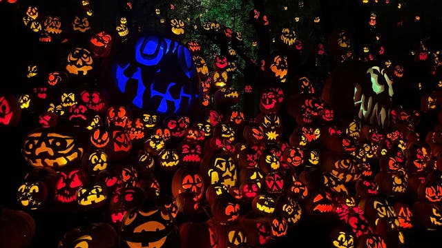 What to do in Minnesota: Things to do this weekend (Sept. 27-29)