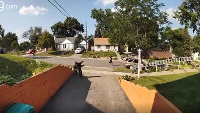Video shows children running away after shots fired near bus stop in Crystal, Minn.