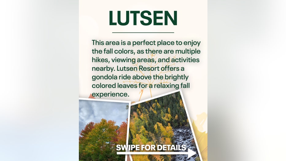 fall color tour mn