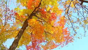 What to do in Minnesota: 8 things to do this weekend (Oct. 14-16)