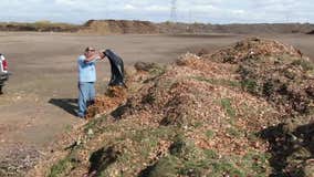 Fall yard waste season preparations begin in Minnesota