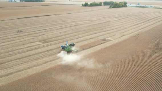 Farmers harvest crops after another dry growing season