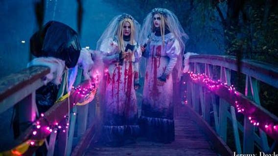 What to do in Minnesota: 8 things to do this weekend (Oct. 21-23)