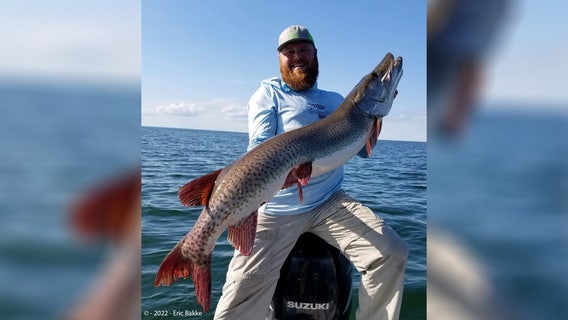 Angler's muskie from Mille Lacs Lake sets Minnesota state record