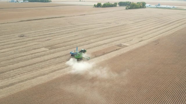 Farmers harvest crops after another dry growing season
