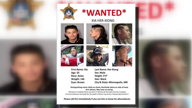 Sisters' homemade wanted posters land deadly hit-and-run driver back in jail