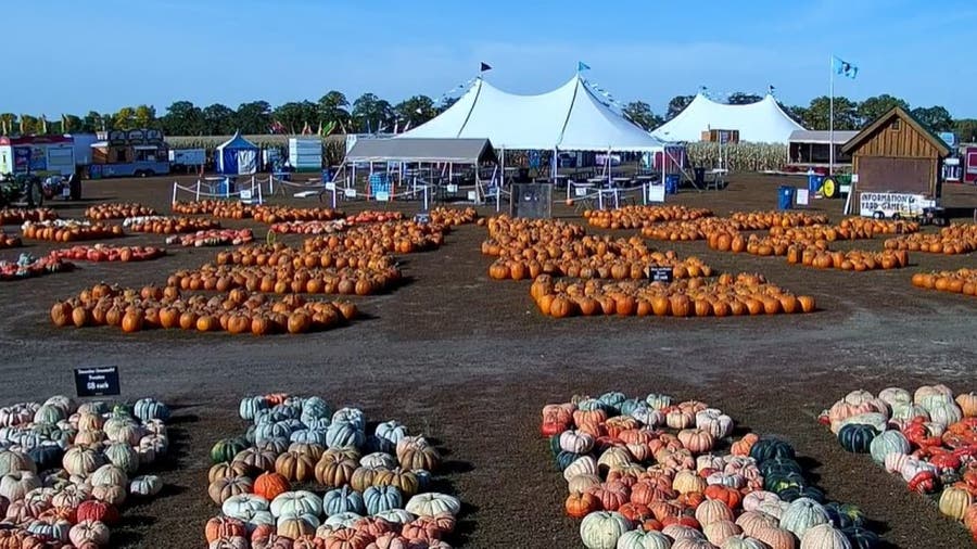 Twin Cities Harvest Festival and Maze live camera