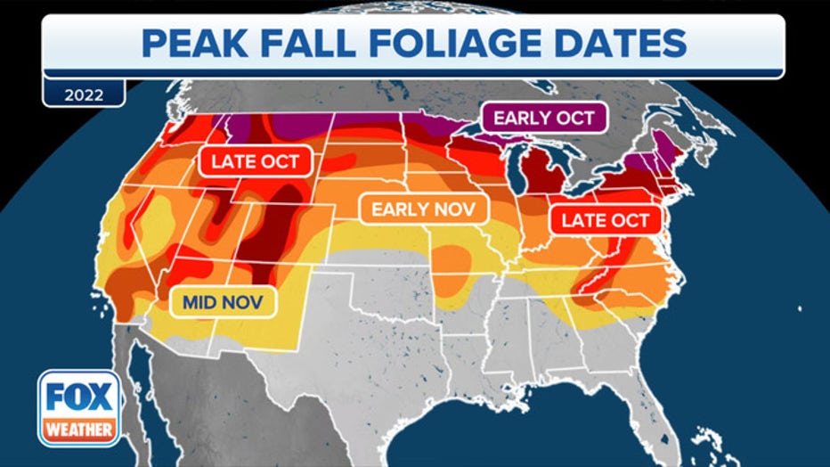 Discover fall foliage maps and where to see fall foliage right now