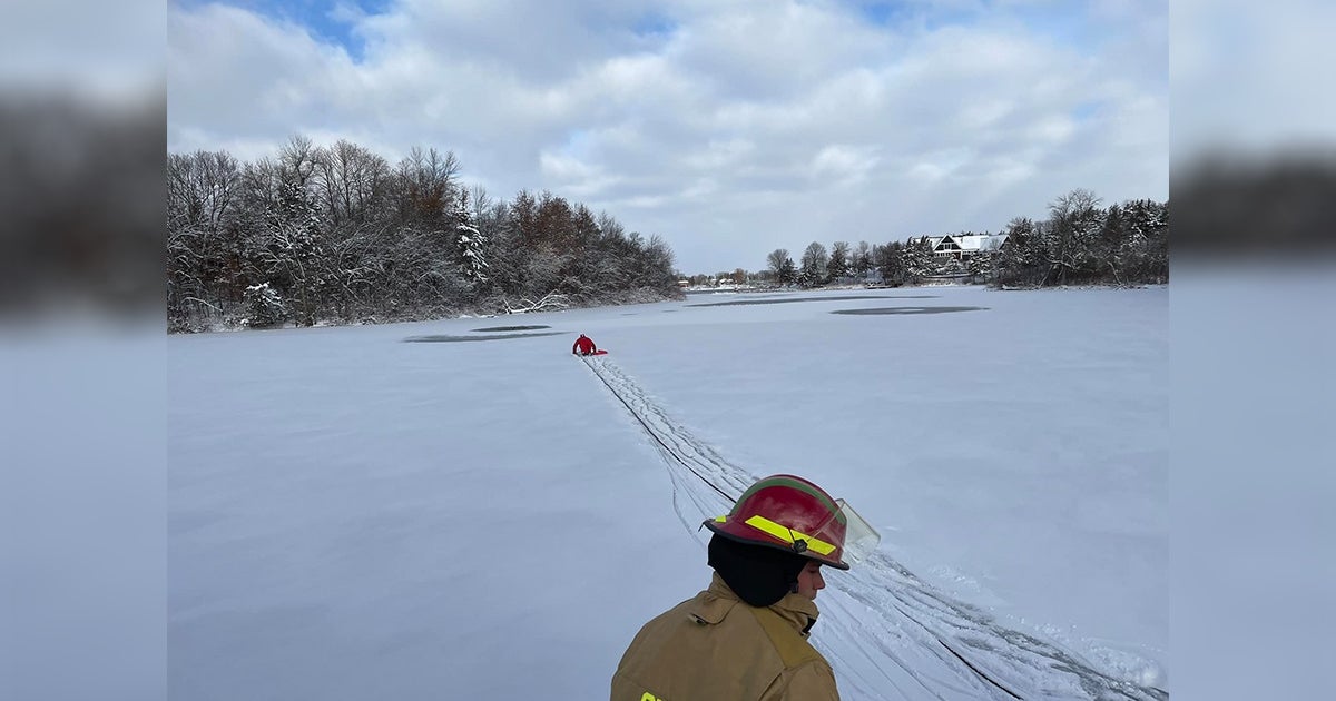Firefighters rescue dog from freezing water in Stearns County lake ...