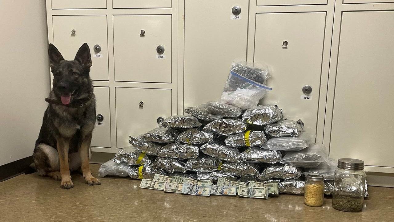 Southern Minnesota K-9 helps find 30 pounds of drugs during first day on the job