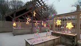 What to do in Minnesota: 6 things to do this weekend (Nov. 18-20)