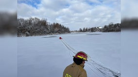 Firefighters rescue dog from freezing water in Stearns County lake