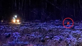 North Minnesota hunter rescued after sinking into swamp