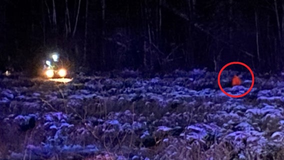 North Minnesota hunter rescued after sinking into swamp