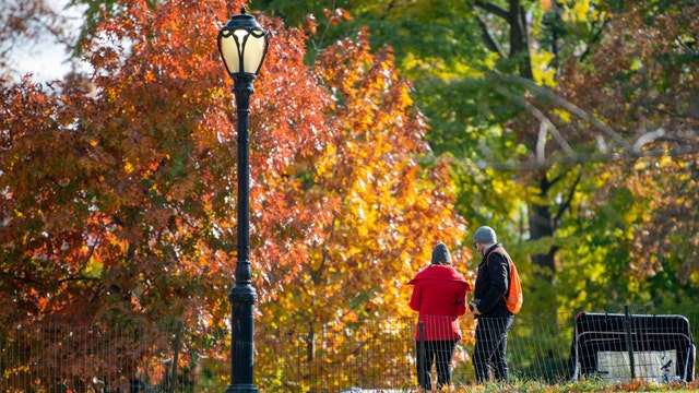 What to do in Minnesota: 5 things to do this weekend (Oct. 6-8)