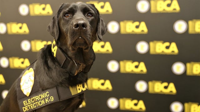 Minnesota BCA K9 sniffs out electronics used by child predators