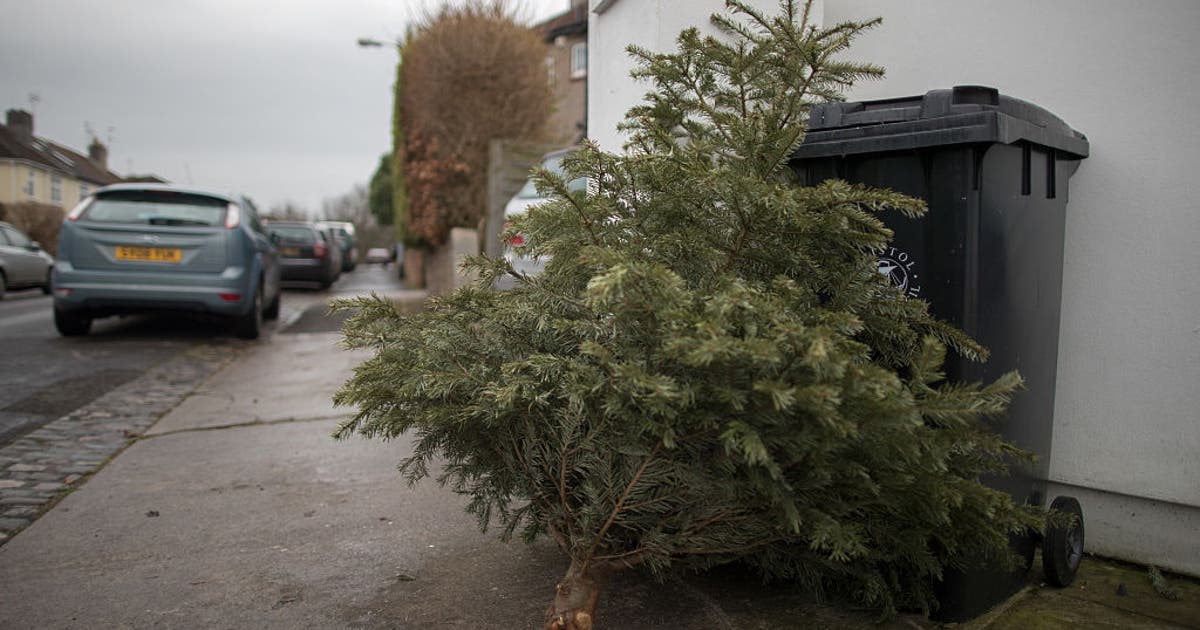 Ways to safely dispose of your Christmas tree after the holidays | FOX ...