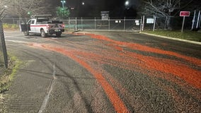 Truck driver knowingly leaked red dye all over Oregon roads, deputies say