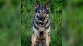 Overwhelming show of support for family of K-9 officer killed in house fire