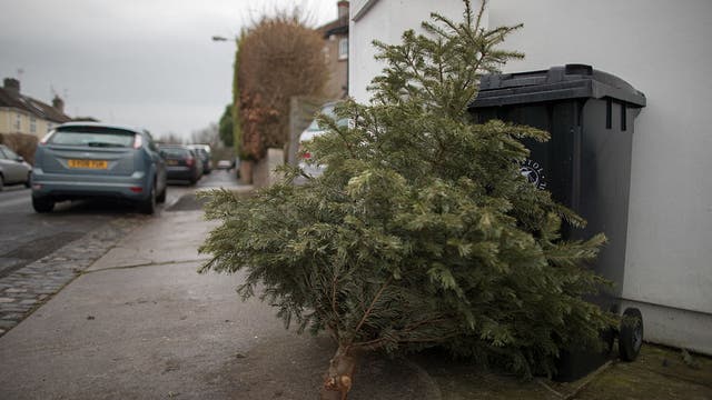 Ways to safely dispose of your Christmas tree after the holidays