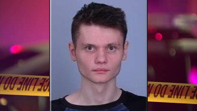 'Pro-mass shooting' Minnesota man tried to buy hand grenades, prepared to 'fight the police’: DOJ