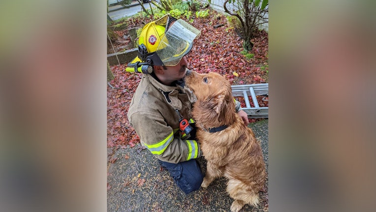 Firefighers rescue dog from well in Oregon IV