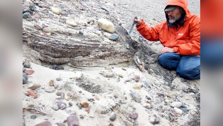 Oldest DNA Reveals What Life Was Like In Greenland 2 Million Years Ago ...