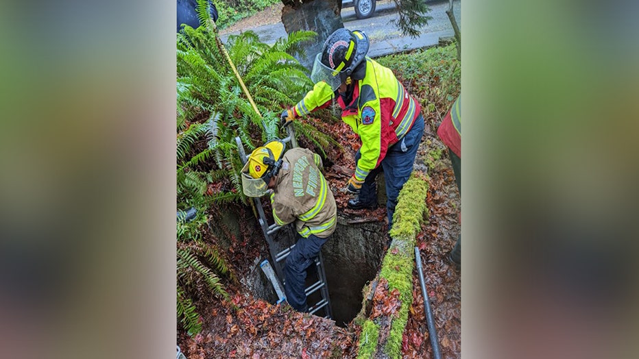 Oregon Firefighters Rescue Dog That Fell Into Well | FOX 9 Minneapolis ...