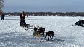 Lake Minnetonka Klondike Dog Derby canceled due to lack of snow