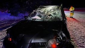 Family injured after car collides with moose in northern Minnesota