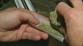 Legal marijuana push starts in Minnesota; supporters say '2023 is the year'