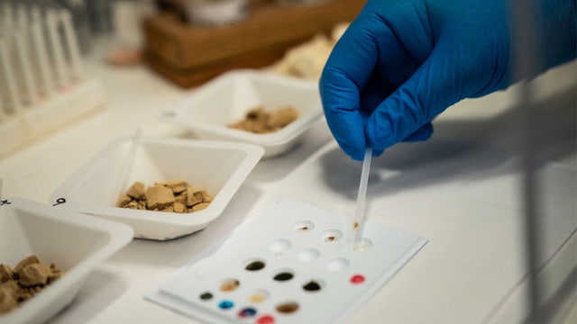 Xylazine reaches Minnesota: officials concerned by fentanyl contaminated with animal sedative