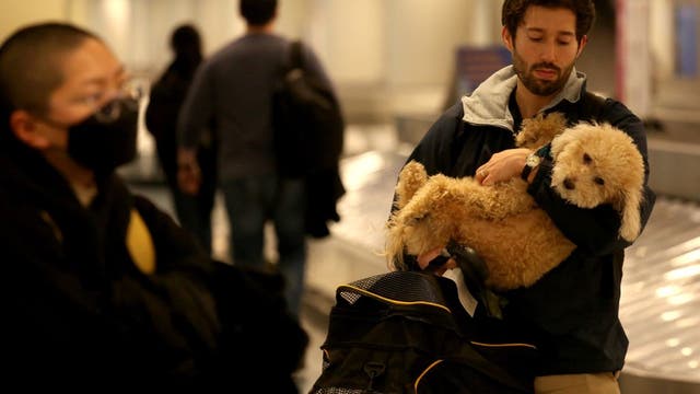 After Southwest meltdown, experts issue tips on avoiding future airport issues