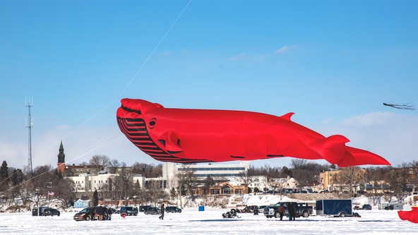 What to do in Minnesota: 7 things to do this weekend (Feb. 10- Feb. 12)