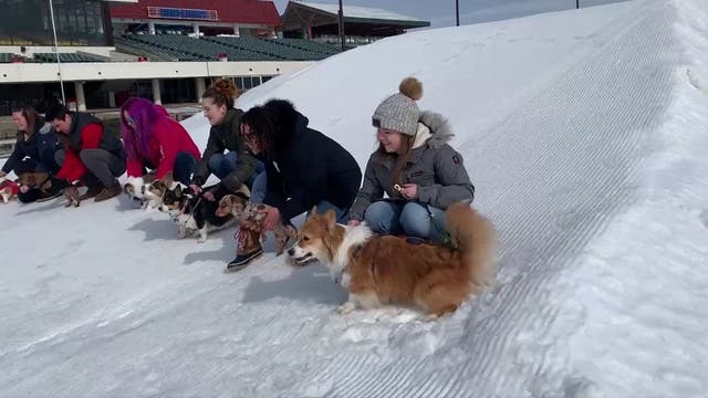 What to do in Minnesota: 5 things to do this weekend (Feb. 24-26)