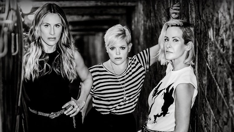 the band the chicks