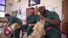 Inmates in Wisconsin play role in training service dogs