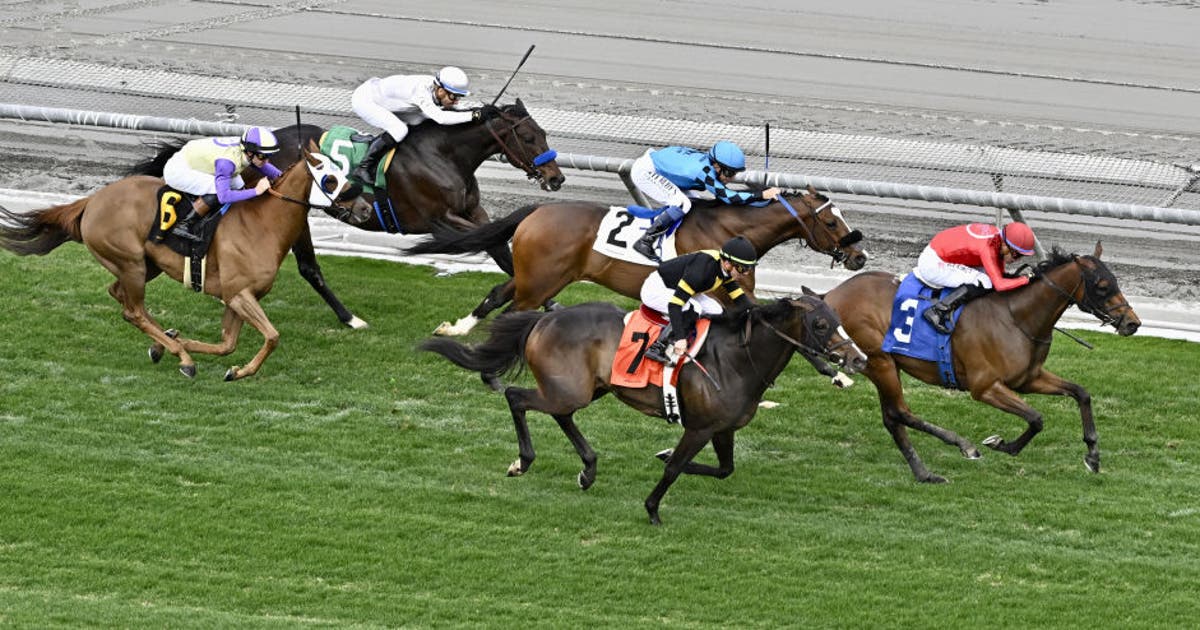 Doping Racing Horse racing's national anti-doping program starts | FOX 9 Minneapolis ...
