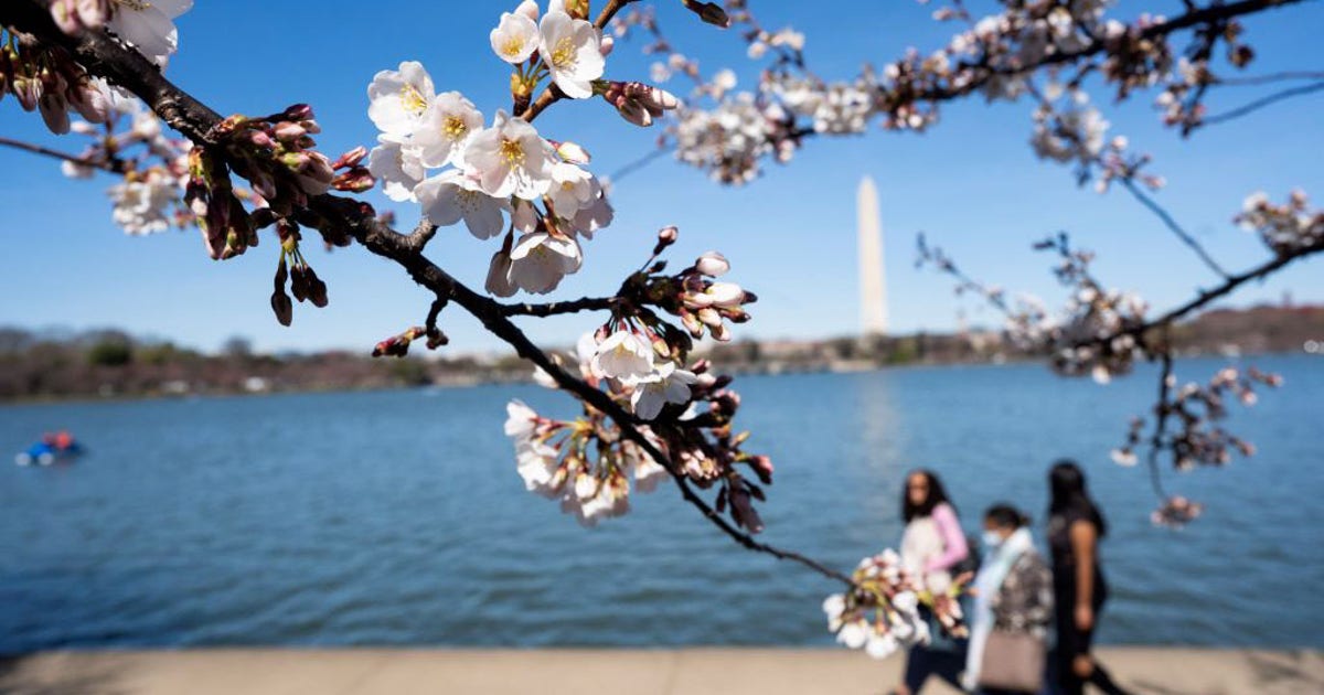 How warm will spring be? NOAA seasonal outlook shows who can pack up ...