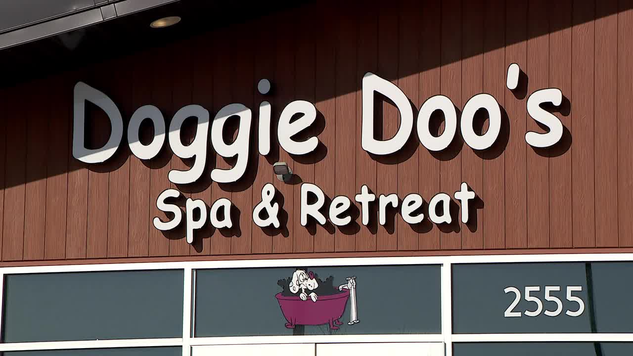 AG’s office investigating Shakopee doggie daycare after lost dog prompts other complaints