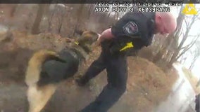 Champlin officer sues Hennepin County deputy for K-9 attack during pursuit of suspect