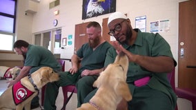 Inmates in Wisconsin play role in training service dogs