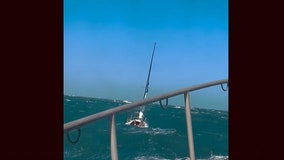 Watch: Coast Guard pulls 3 people from Atlantic Ocean after sailboat stalls